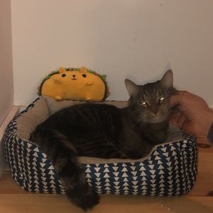 Meet your Posher, Cassandra